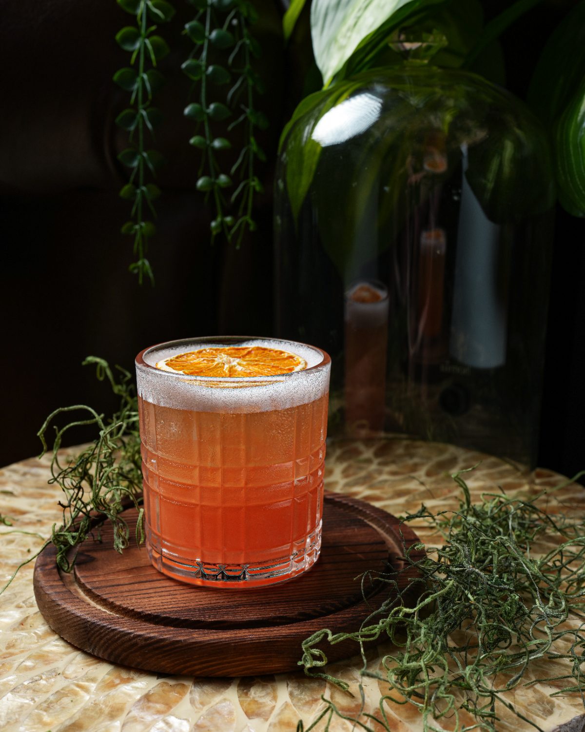 Bittersweet spritz with a dried orange wheel among trailing greenery